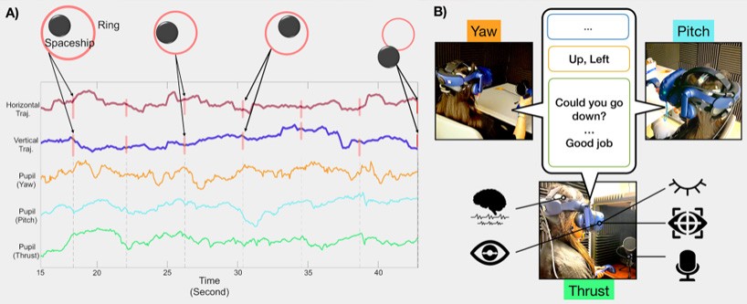 Flight-mind simulator  By tracking arousal states in the brain (A), Sajda’s flight simulator can create a feedback loop that helps pilots make smarter, split-second decisions (B). (courtesy of Paul Sajda)