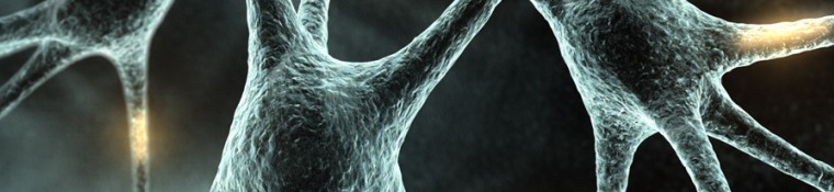 Neuron banner