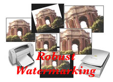 [Robust Watermark Mark]