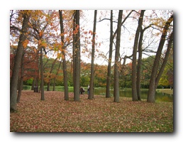 Click to enlarge