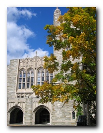 Click to enlarge
