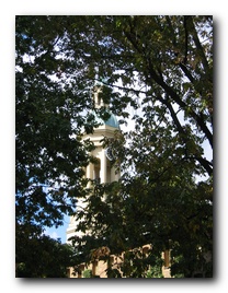 Click to enlarge