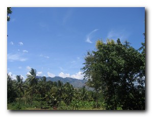 Click to enlarge