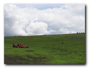 Click to enlarge
