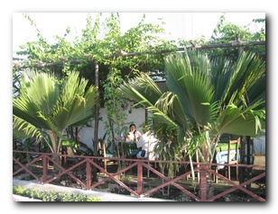 Click to enlarge