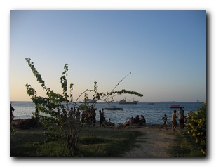 Click to enlarge