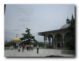 Click to enlarge