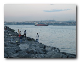 Click to enlarge