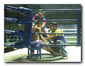 Click to enlarge