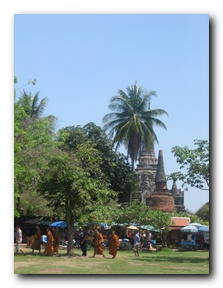 Click to enlarge