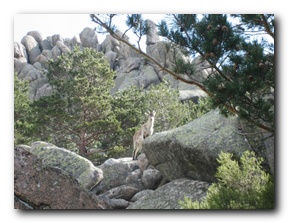 Click to enlarge