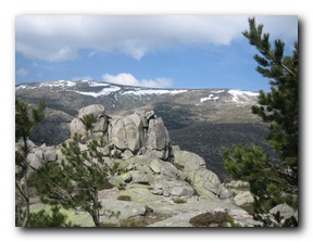 Click to enlarge