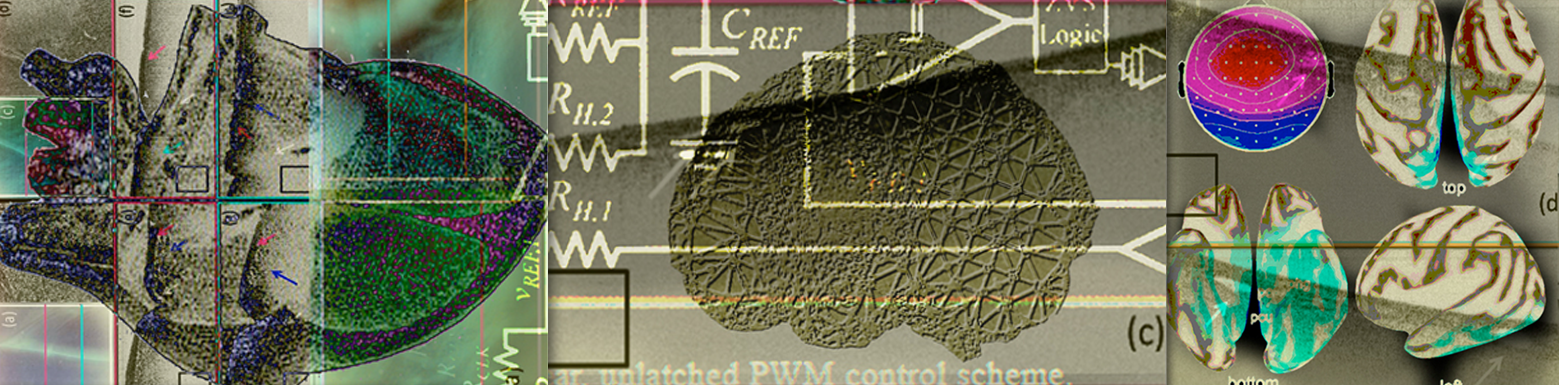 Systems Biology and Neuroengineering