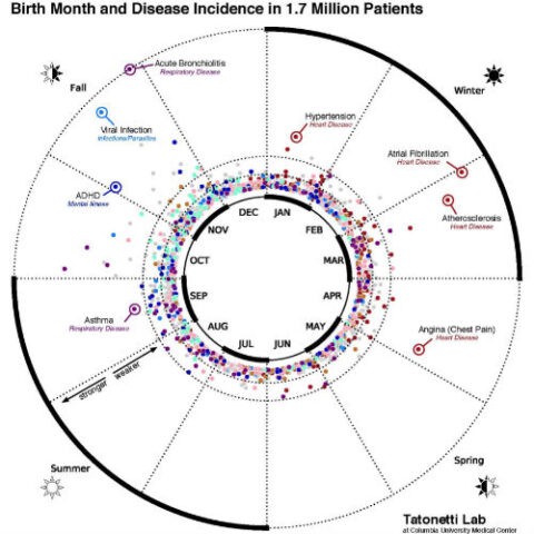 This data visualization maps the statistical relationship between birth month and disease incidence in the electronic records of 1.7 million New York City patients. (Nick Tatonetti/Columbia University Medical Center) This data visualization maps the statistical relationship between birth month and disease incidence in the electronic records of 1.7 million New York City patients. (Nick Tatonetti/Columbia University Medical Center)
