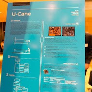 1st place: Ultrasonic Cane