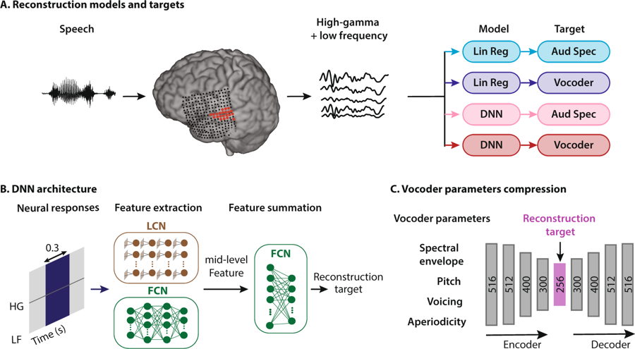 Schematic of the speech reconstruction method.