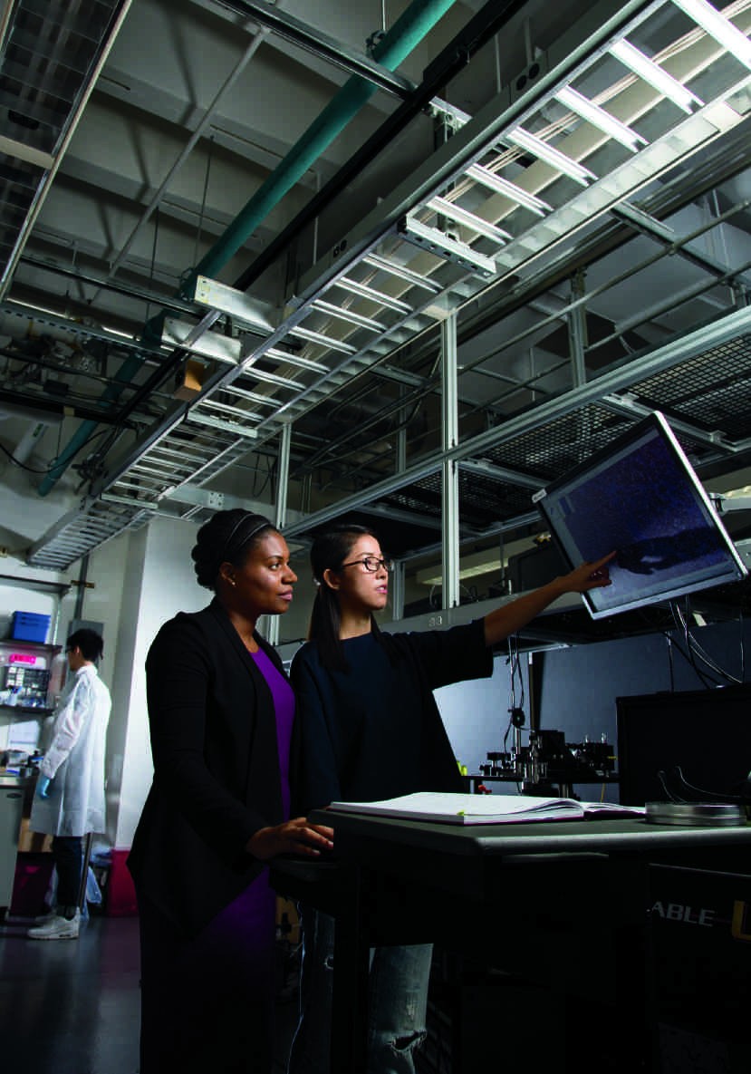 Christine Hendon (left) and Xinwen Yao reviewing histology images of the heart to correlate with optical images taken with a custom-built, ultrahigh resolution optical coherence tomography imaging system. —Photo by Jeffrey Schifman