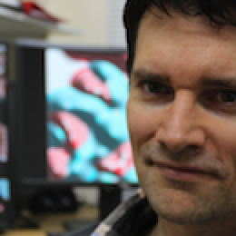 photo of Nikolaus Kriegeskorte