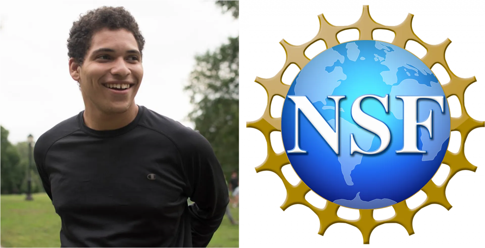 nsf