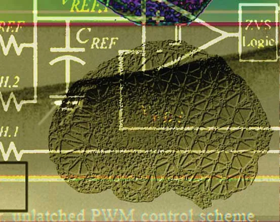Systems Biology and Neuroengineering