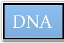 Lab Dna.png