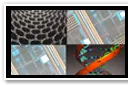Lab Singals BSL 0.png