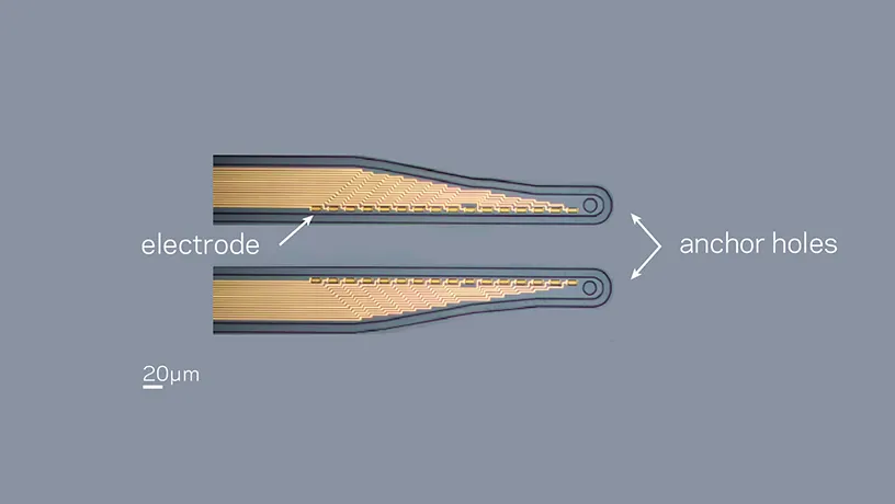 Micrograph of the micro-fabricated conformable conducting polymer-based electrode array.
