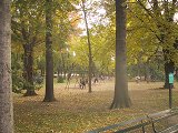 NYC
