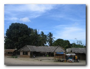 Click to enlarge