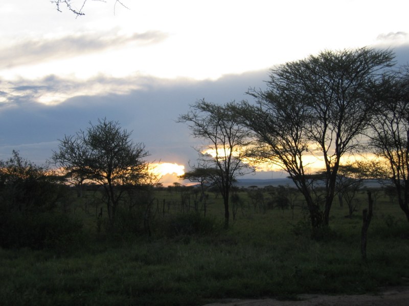 IMG_0322_0001