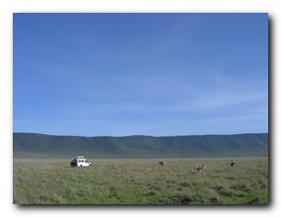Click to enlarge