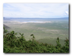 Click to enlarge