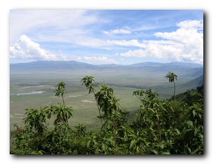 Click to enlarge