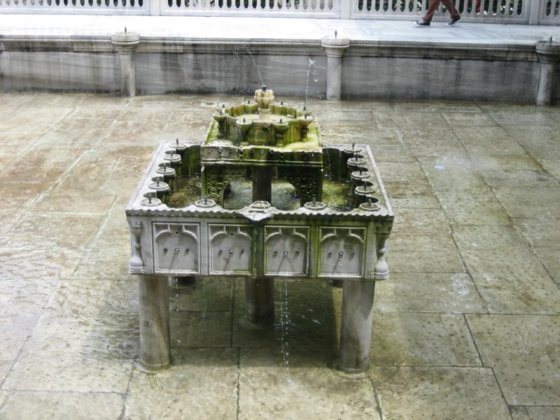 IMG_1902