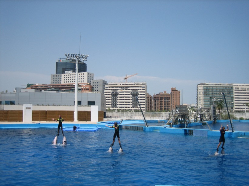IMG_2158