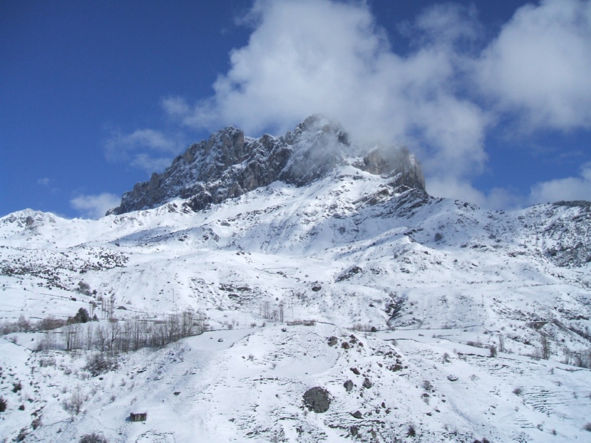 DSCF0646