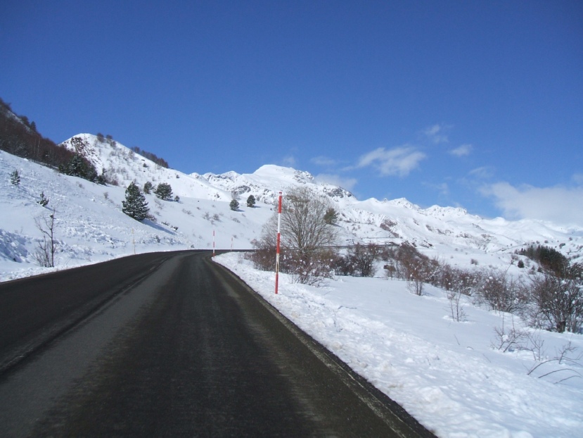 DSCF0647