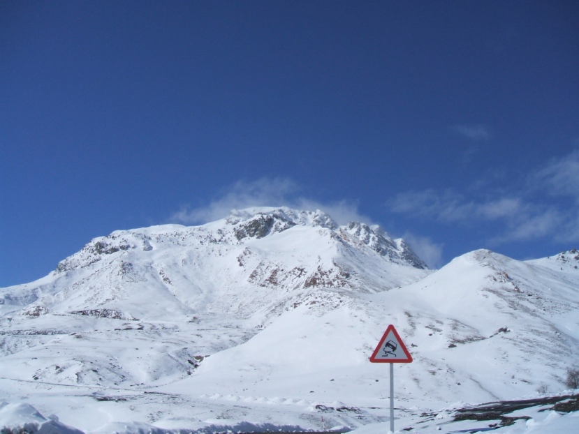 DSCF0651