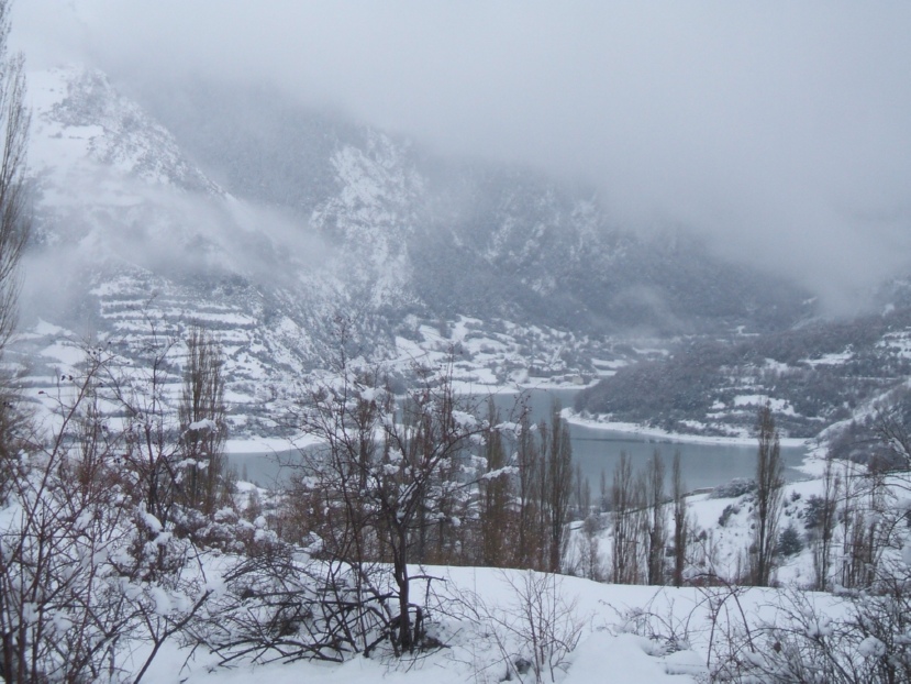 DSCF0685