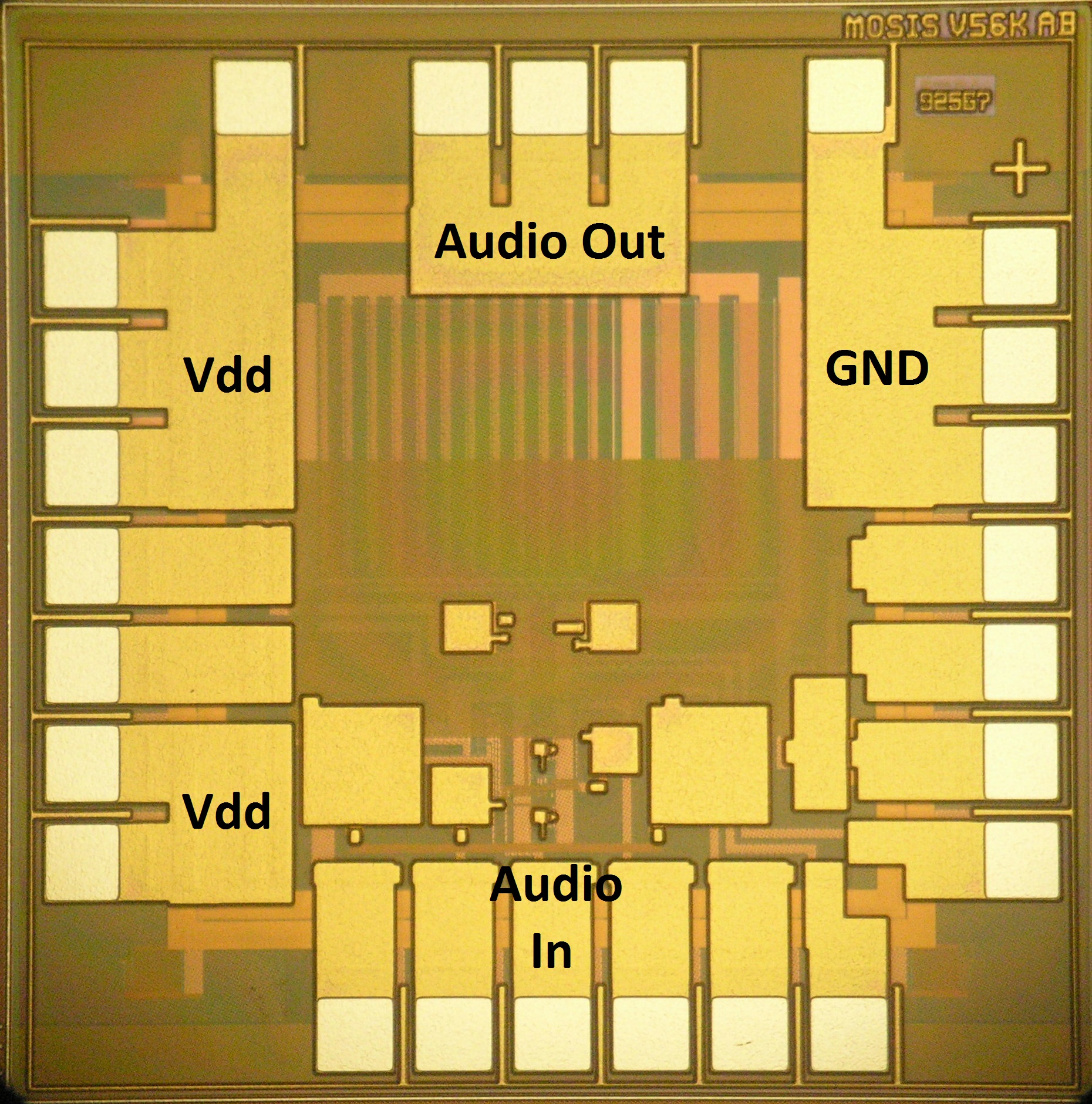 chip microscope picture