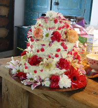 big bird cake