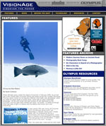 vision age screenshot