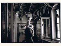 natural history