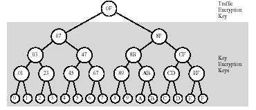 tree.jpg